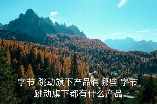 字節(jié)跳動(dòng)系統(tǒng)軟件部